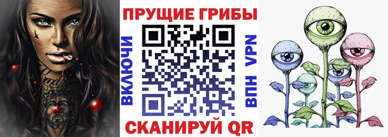 Псилоцибиновые грибы Cubensis  darknet официальный сайт  Искитим 